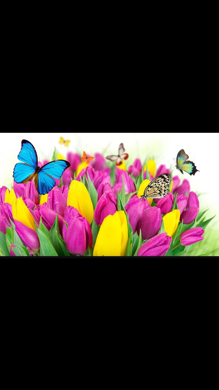 For you