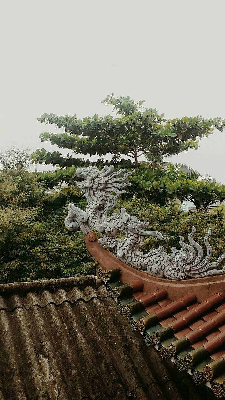 Khung cảnh lạ kì