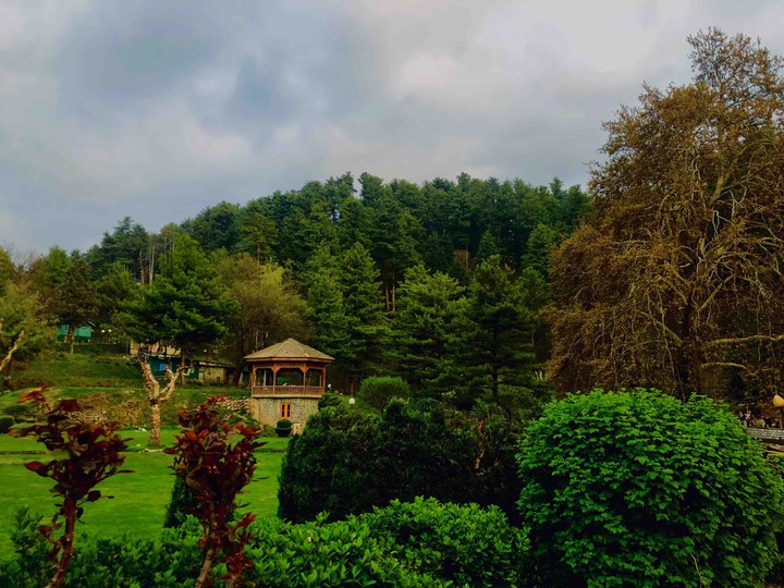 Kashmir