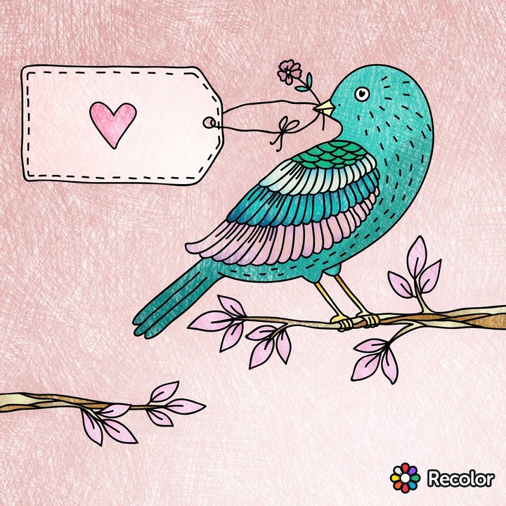 Wonderful Bird