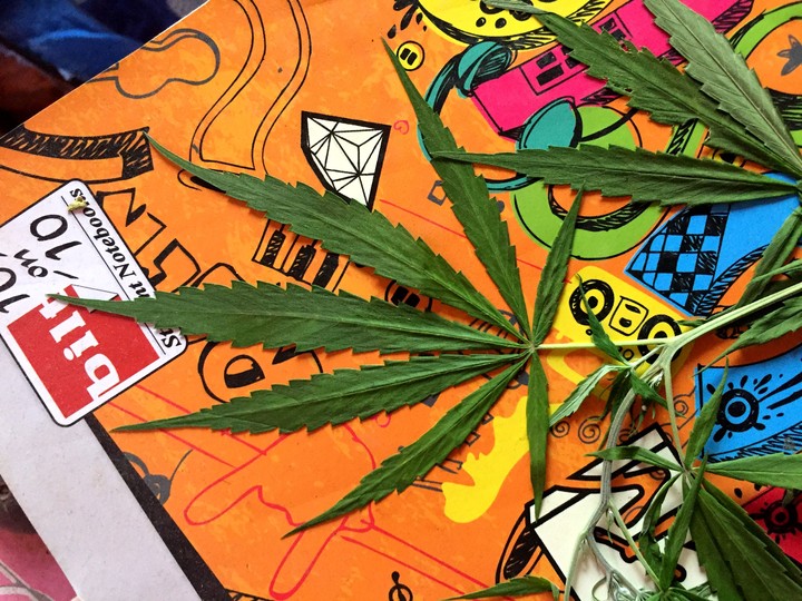 weed