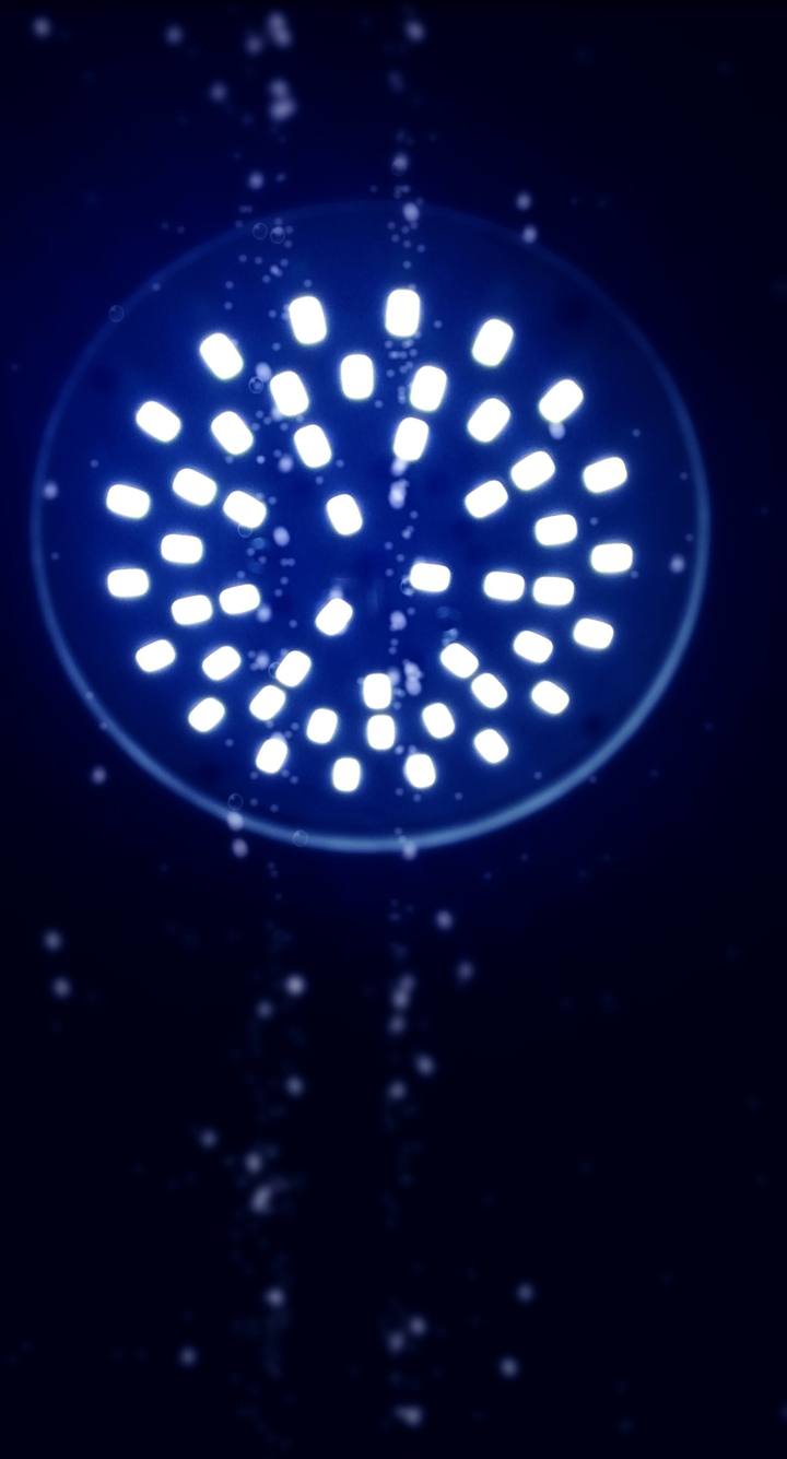 Blue Light
