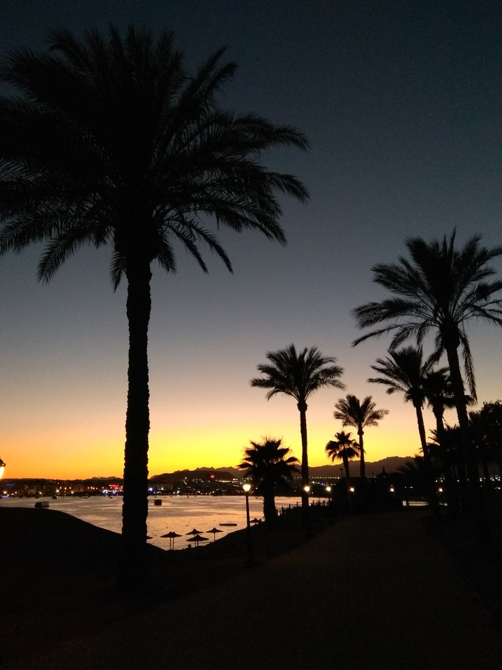 Sunset