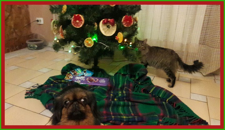 X-mas time