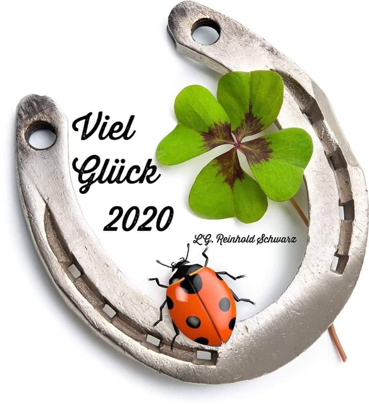 Profit Neujahr 2020