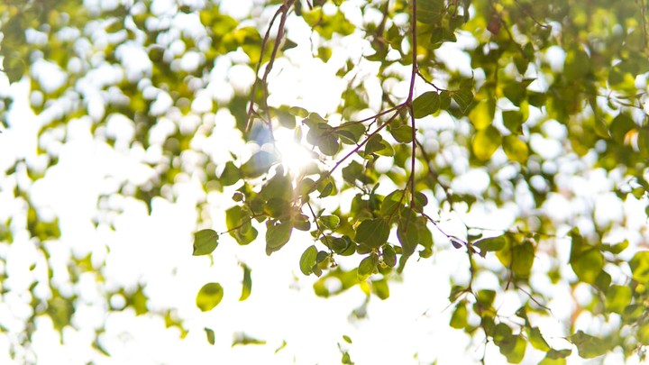 A Ray of Hope