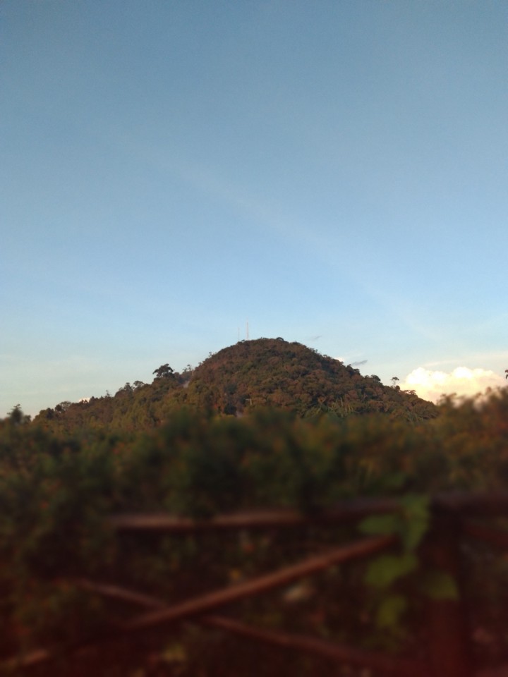 nature