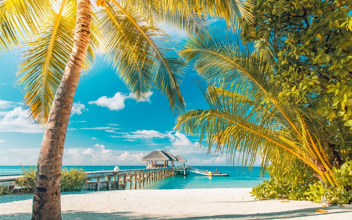 Enjoy Paradies