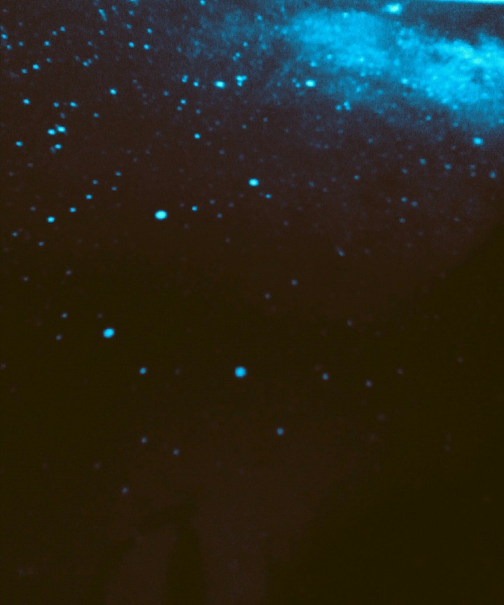 Blue nebula