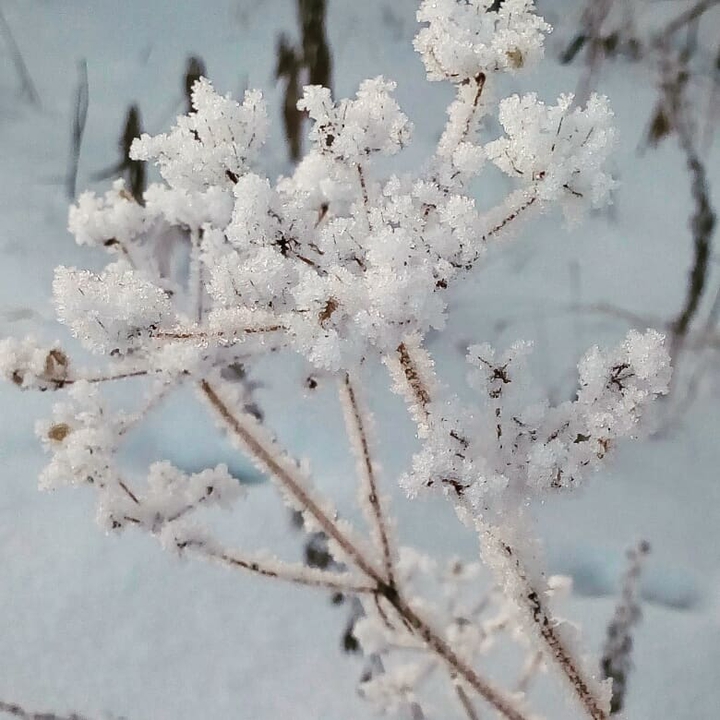 snow