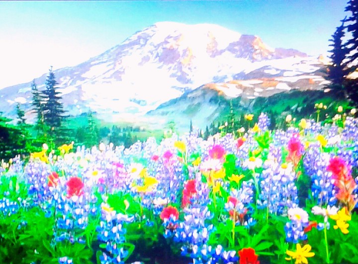 Paisajes de dia