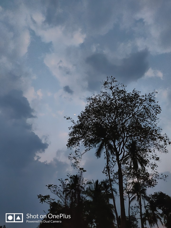 evening twilight