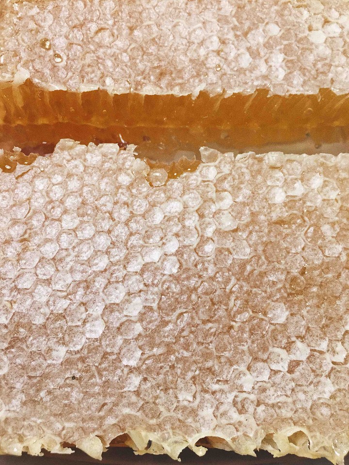 honey ?