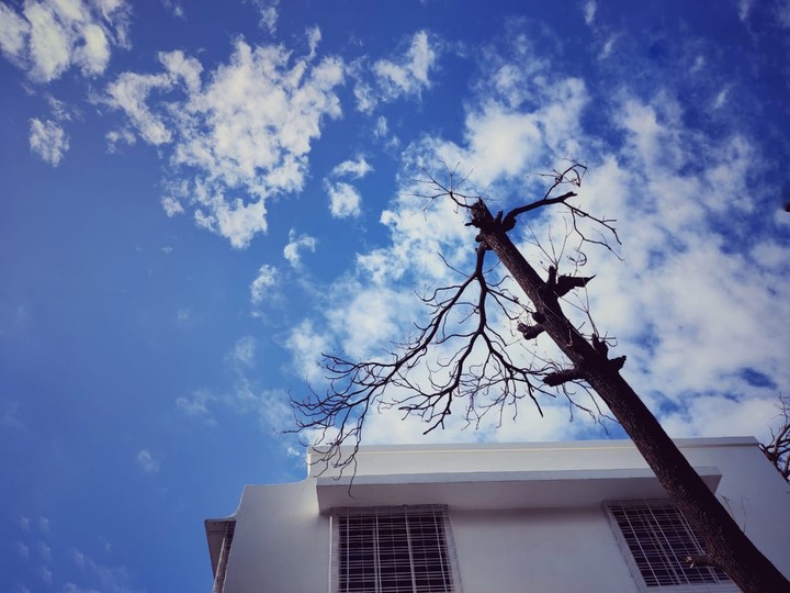 not Barren sky