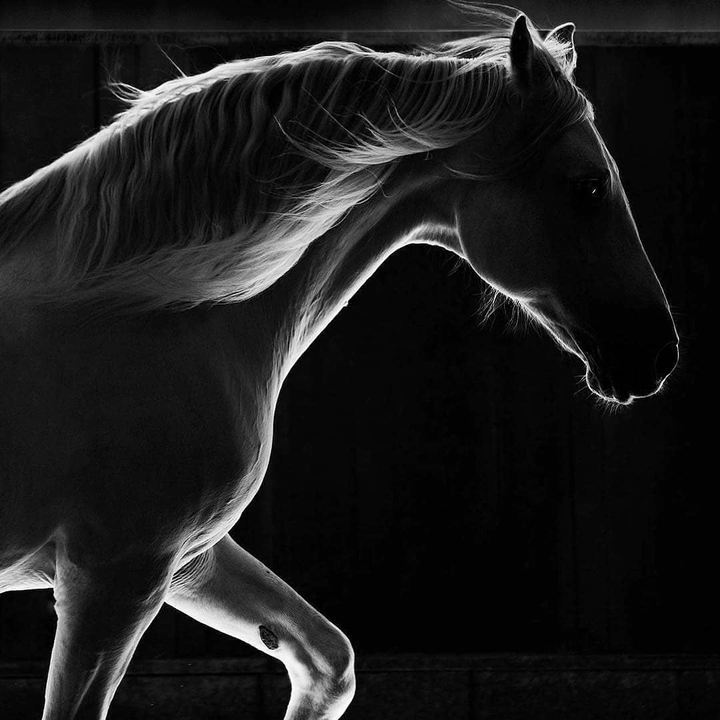 Black And White