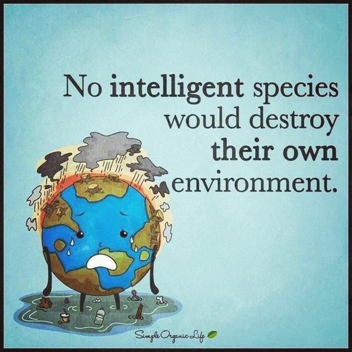 Save Earth