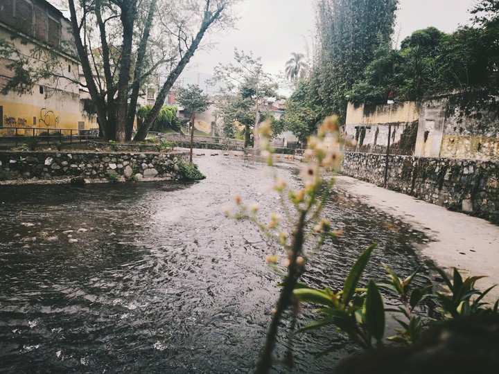 Orizaba