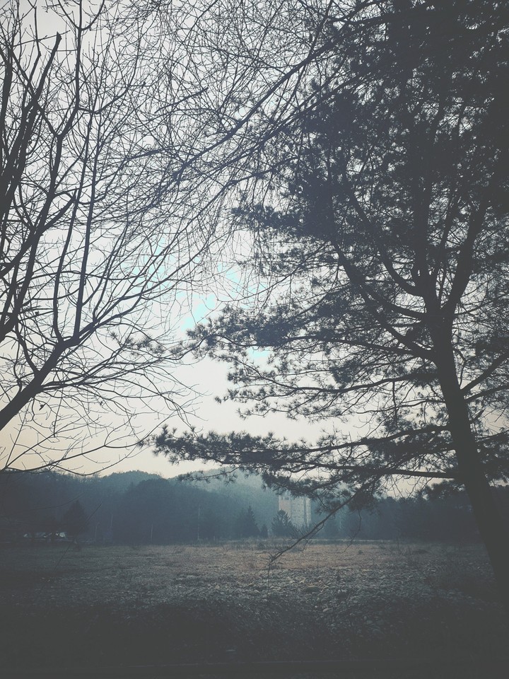 New Day