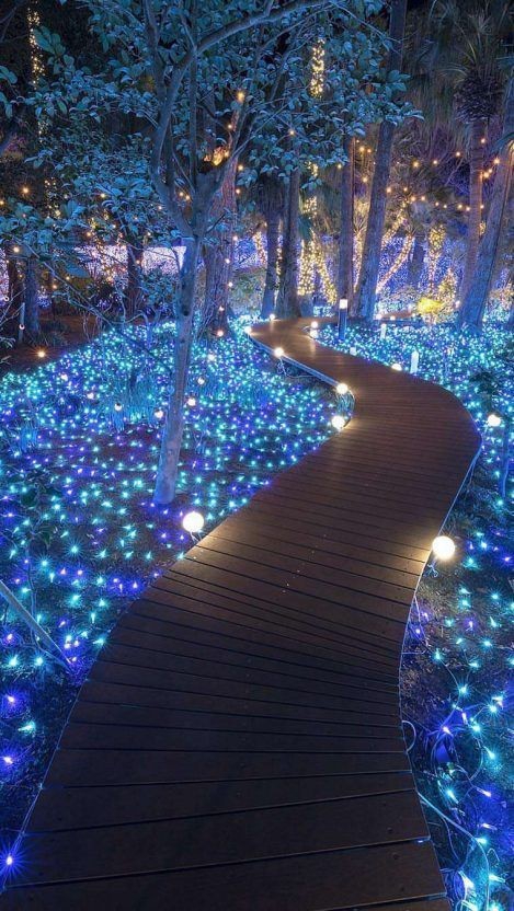 Blue and Bliss