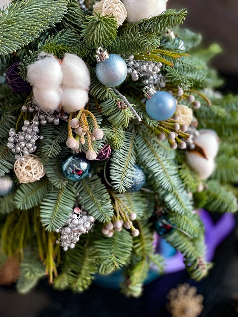 botany, ornament Hintergrundbilder