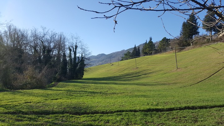 campagna