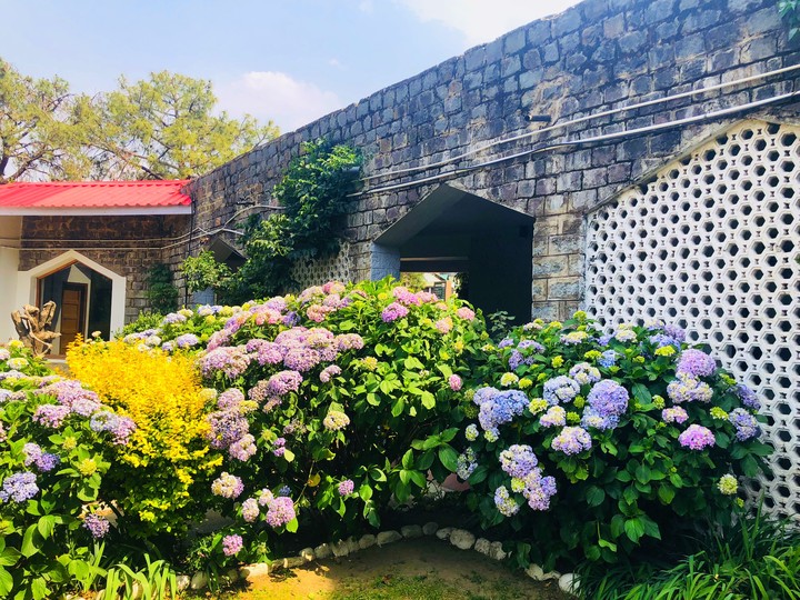 old wall