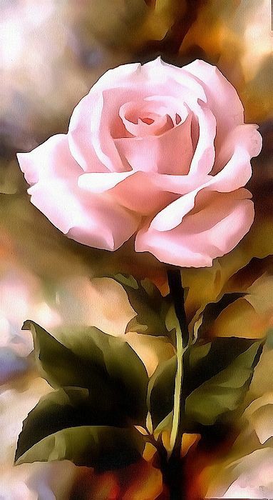 Design Rose