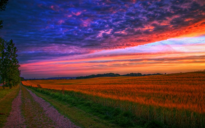 Sunset