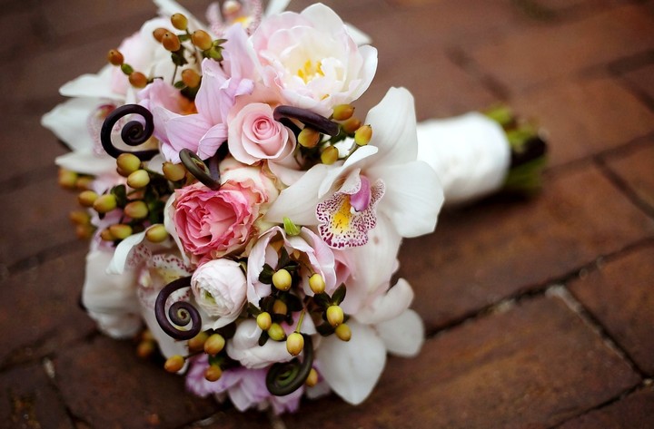 beautiful flowers