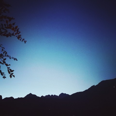 night