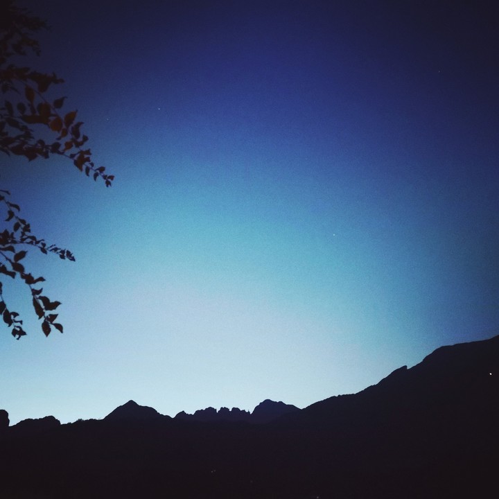 night