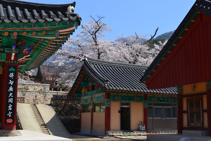 지리산이미지