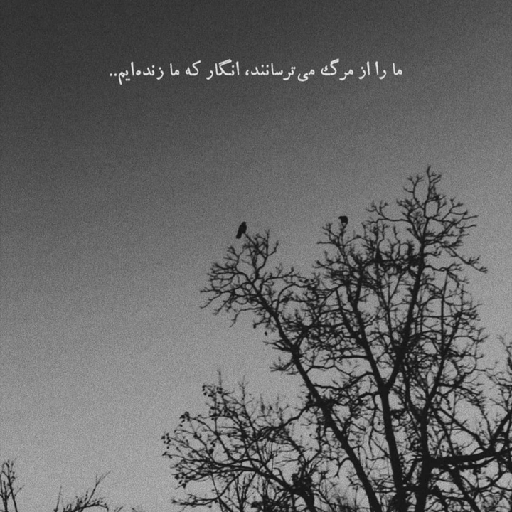 سروش