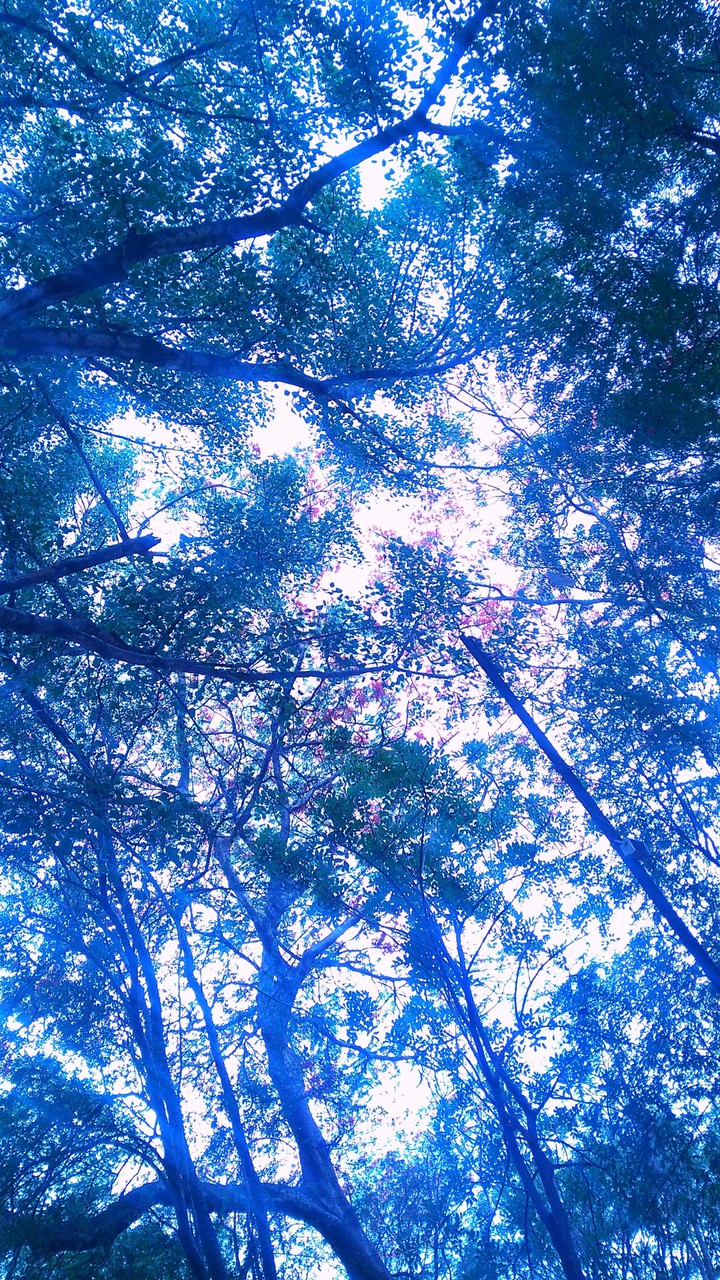 lost