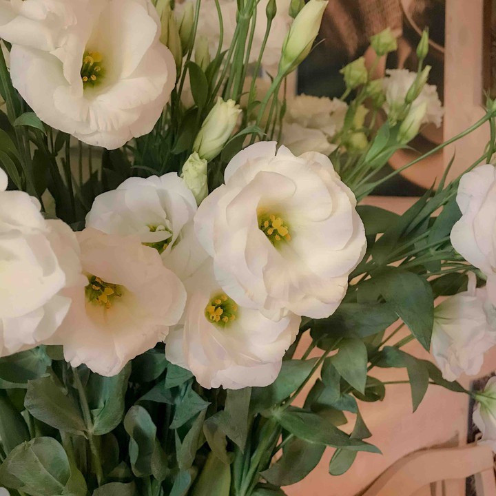 flowers in a vase