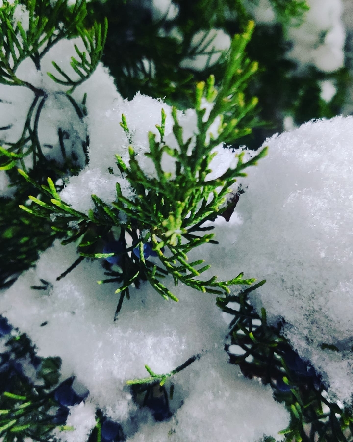 winter
