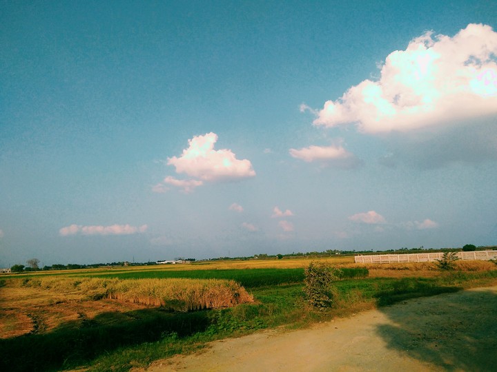 Farm