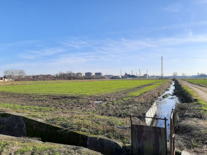 campi di settimo milanese