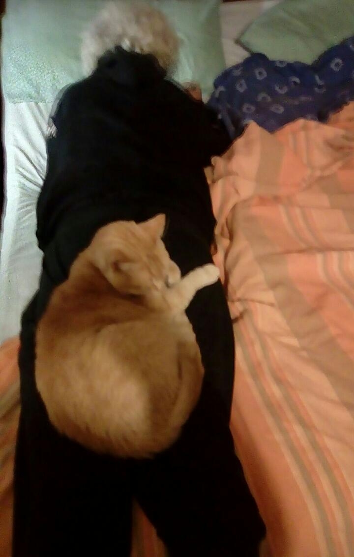 Io e Ciro il mio gatto
