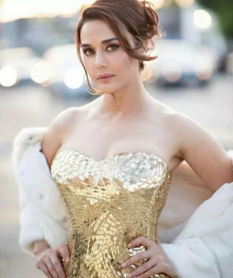 sexy indian actor( Preity Zinta)