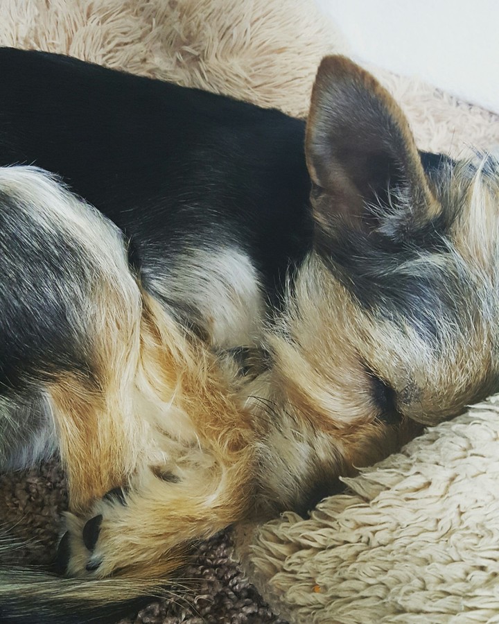 nap time