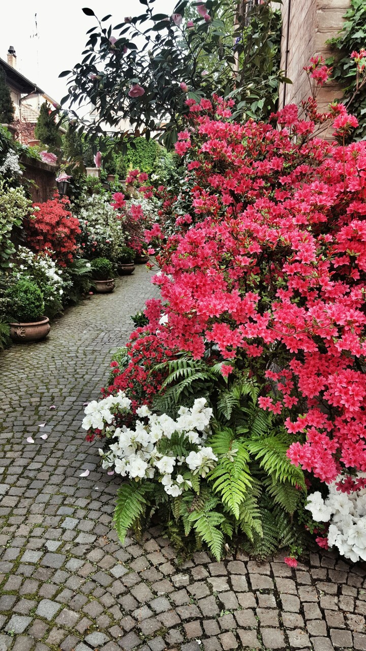 I love this garden.