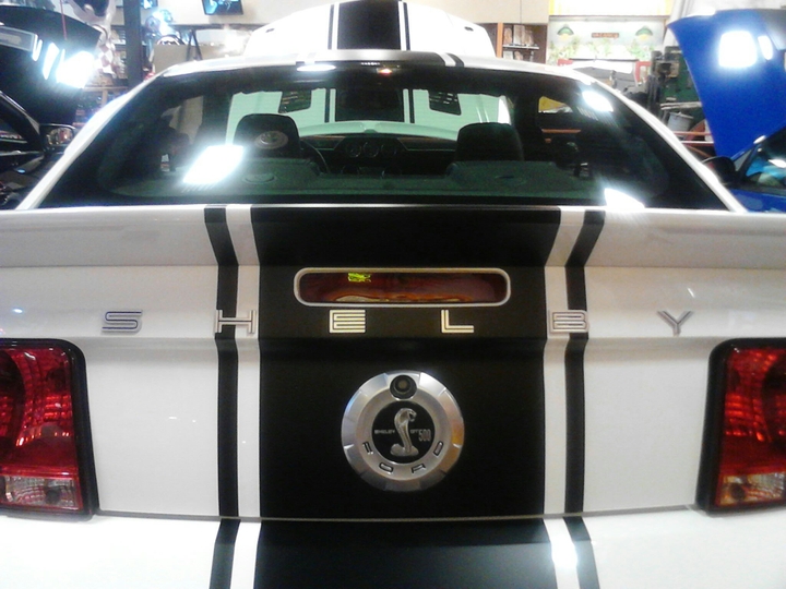 Shelby