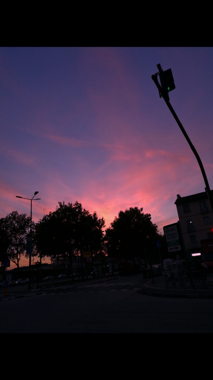 Rose Sky