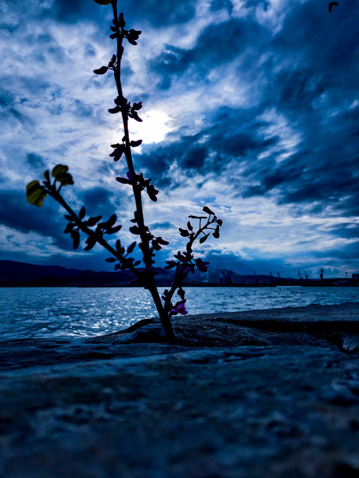 Mother Nature
