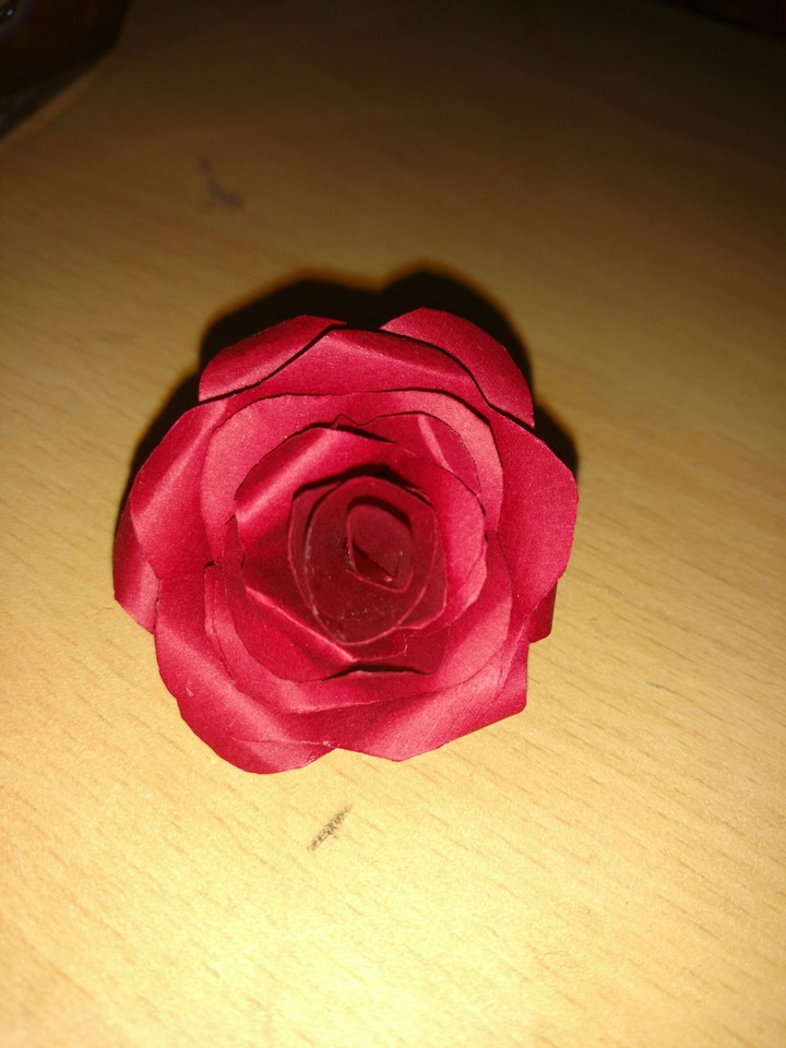 Paper Rose