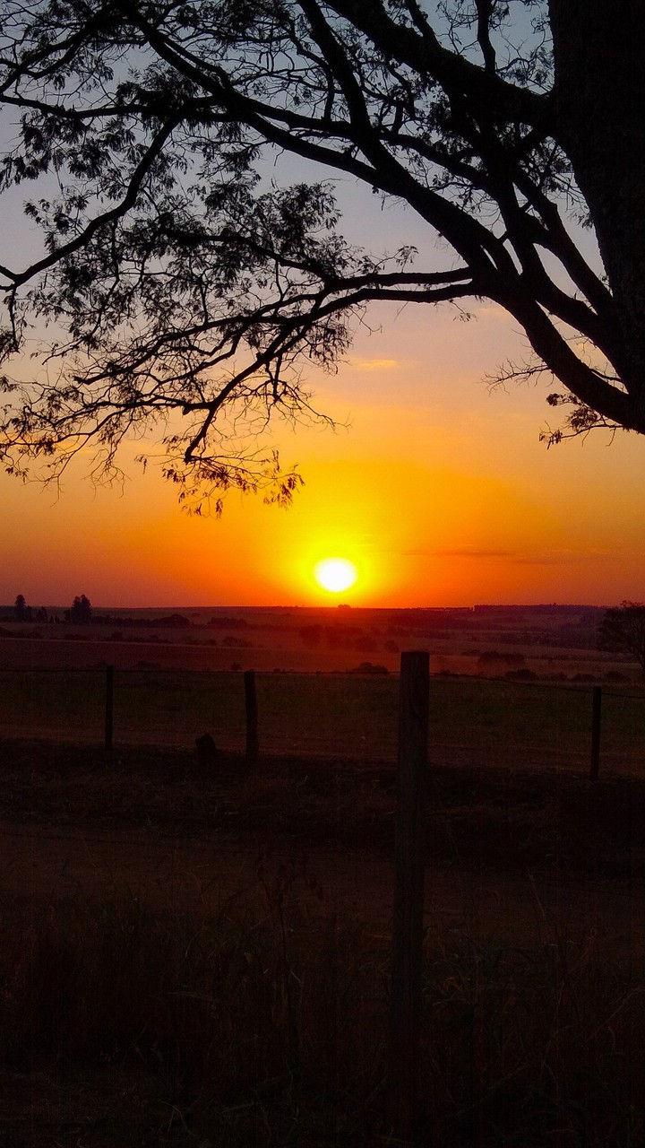 pôr do sol