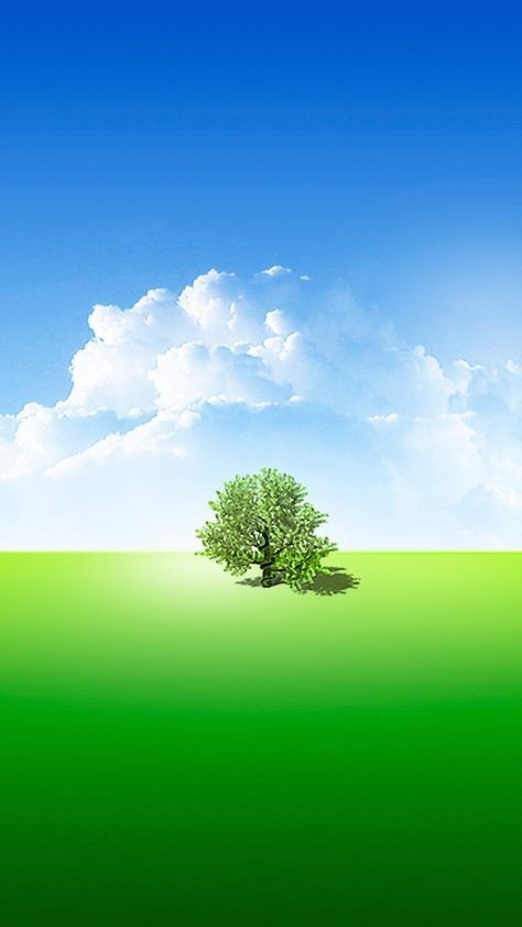 tree