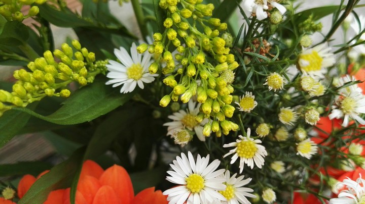 flowers
