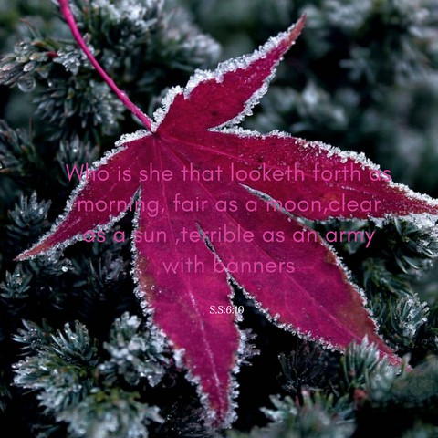 quotes